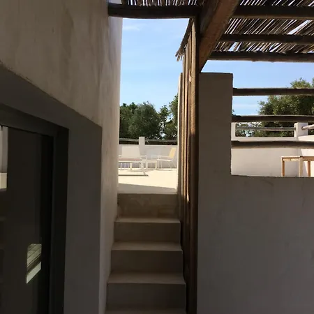 Taru Pinarello فيلة *